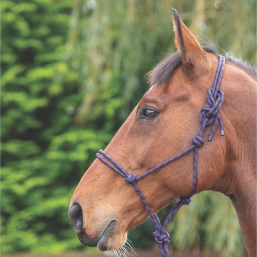 Shires rope control headcollar - control,