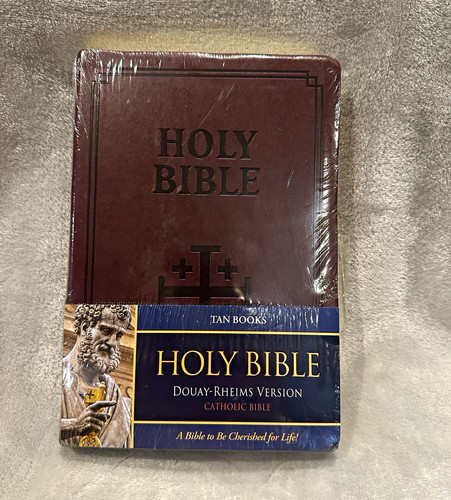 Tan books holy bible - tan,