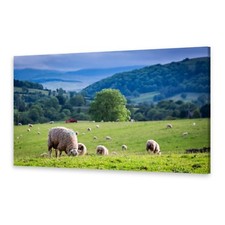 Canvas Pictures Wall Art Print