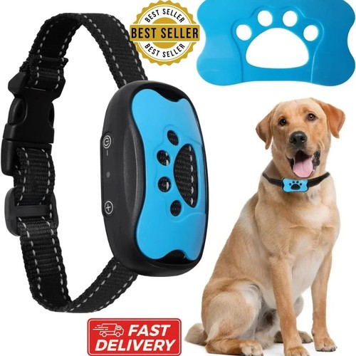 Anti bark collar stop - collar, dog