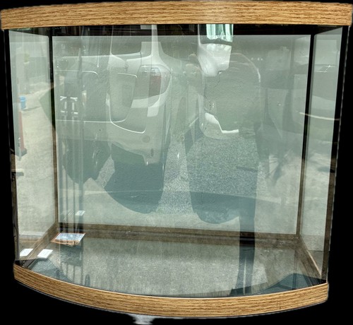 Aqueon oak bow front glass - bow,