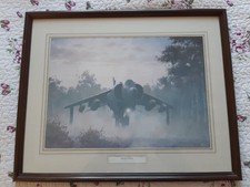 "Secret Mission" Framed Print