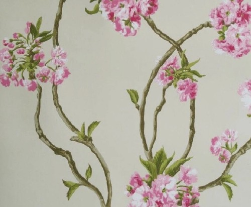 Nina campbell orchard - nina,