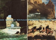 D201346 Pisco Peru Fauna y Formaciones Rocosas en el Centro Turistico de Paracas