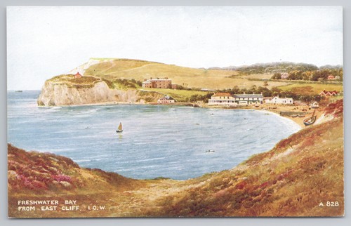 Iow freshwater bay east cliff - iow,