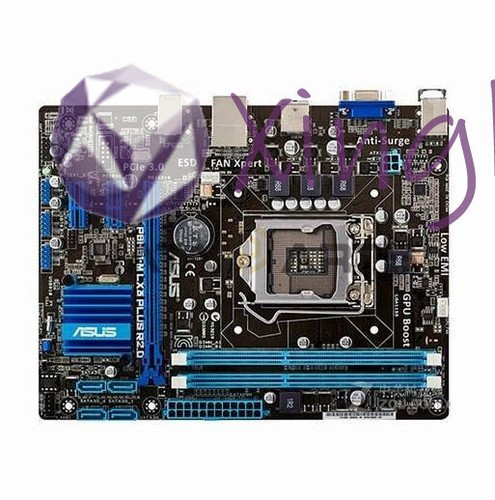 1pcs asus p8h61 lx3 - asus, plus