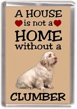 Clumber Spaniel Fridge Magnet