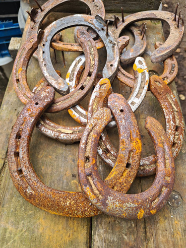 Job lot bulk - lot, horseshoes