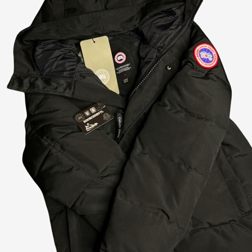 Canada goose arctic program - goose,