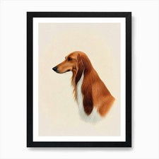 Saluki Illustration Dog Art