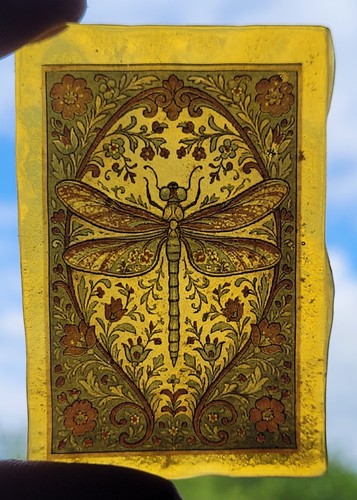 Stained glass dragonfly - stained,