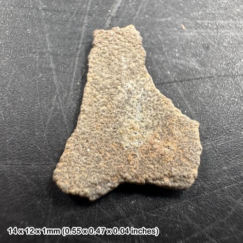 Titanosaur dinosaur eggshell - titanosaur,