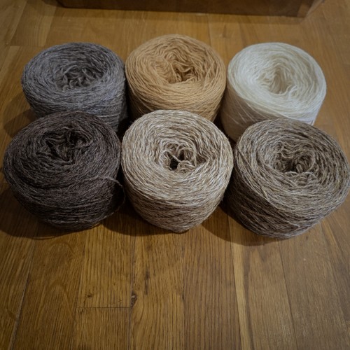 Rennie pure wool - jc,