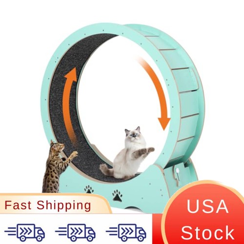 Low noise removable carpet - noise, cat