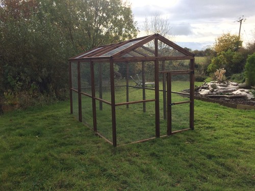 Apex poultry chicken - chicken, run