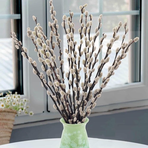 Stems real dried - real,