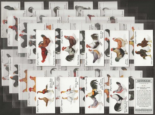 Players full set poultry - poultry, 1931