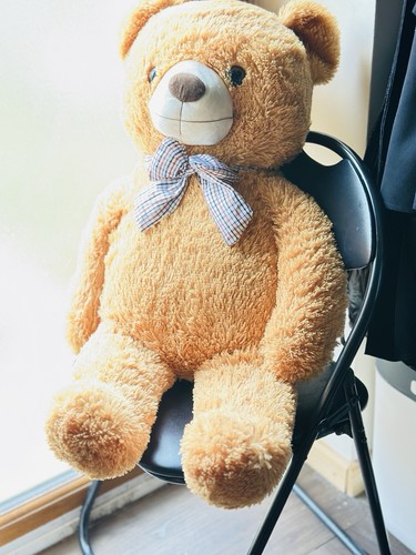 Ikasa giant teddy bear - teddy, 120cm
