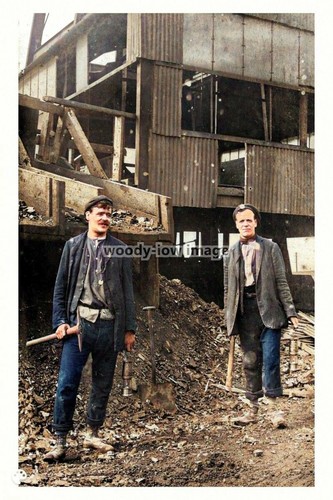 Ptc5712 yorks men - -,