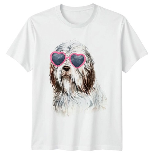 Bearded collie dog wearing - bearded,