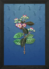 Tall calotropis flower framed - tall,
