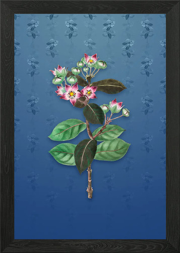 Tall calotropis flower - tall,