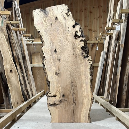Canker ash plank board - canker,