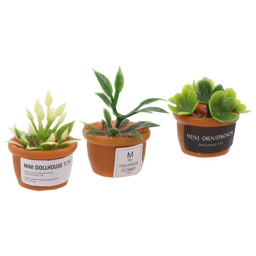 Pcs cute succulent planter - succulent,
