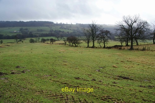 Photo 6x4 grazing - land, in