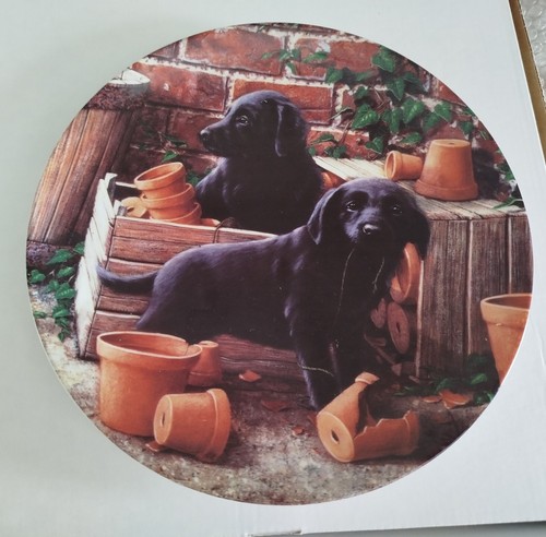 Danbury mint collector plate - danbury,