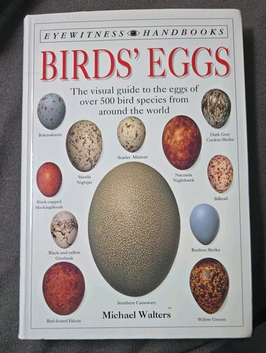 Birds eggs eyewitness - birds,
