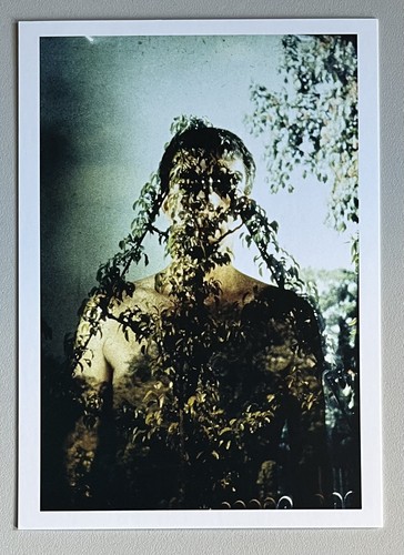 Brion gysin - brion,