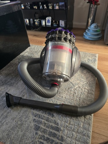 Dyson big ball animal - big,
