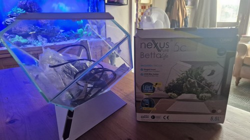Nexus pure beeta - nexus, aquarium