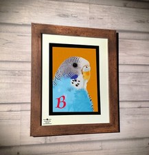 Birds Art Series, Budgerigar