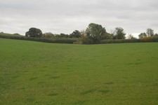 Photo 6x4 Pasture land