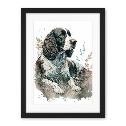English springer spaniel - english,