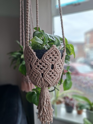 Handmade macrame plant - macrame, hanger