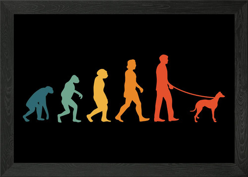 Greyhound evolution retro - greyhound,