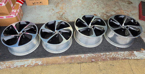Genuine jaguar type - type, 20”