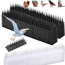 Fence Wall Spikes Garden