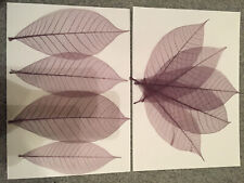 Skeleton leaves (leaf), purple (craft)