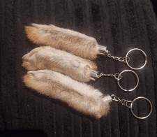 Taxidermy Lucky Rabbits Foot Keyring Oryctolaguscuniculus