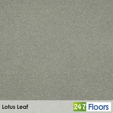 Lotus leaf hampstead 50oz - leaf,