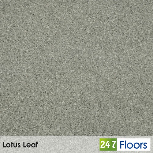 Lotus leaf hampstead - lotus,