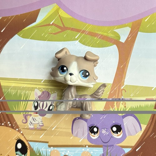 Littlest pet shop authentic - littlest,
