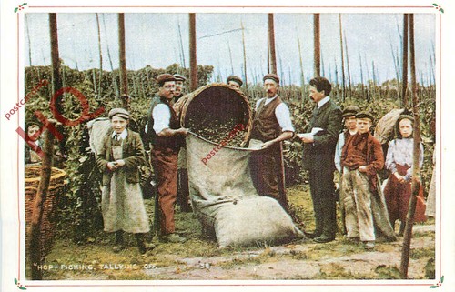 Picture postcard hop - picture, postcard>>hop