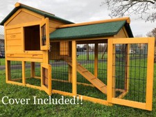 Rabbit hutch guinea pig - hutch,