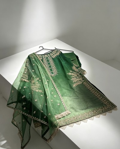 Pakistani indian raw silk - pakistani,