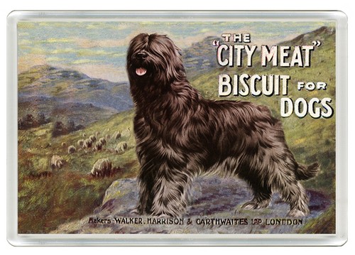 Briard dog fridge magnet - briard,